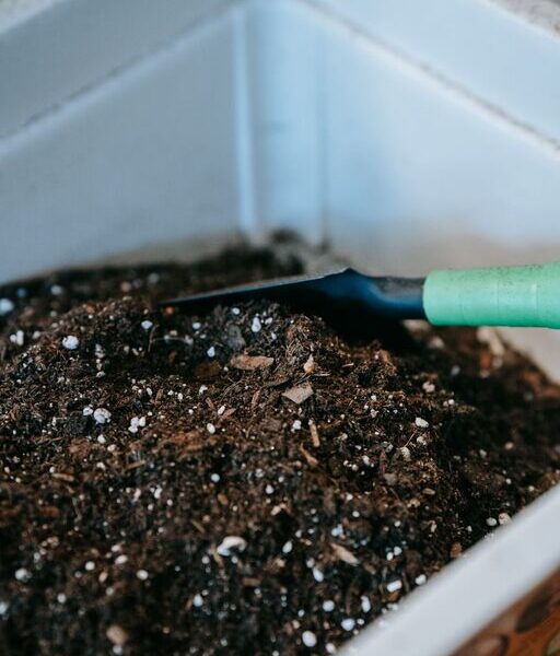 Beginner Tips for Composting at Home: Easy Steps to Start